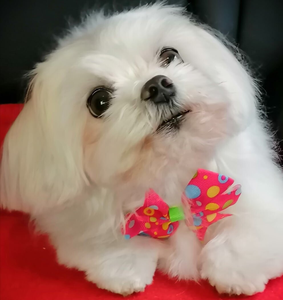 Наводили красоту перед 8 марта, как и все девочки 