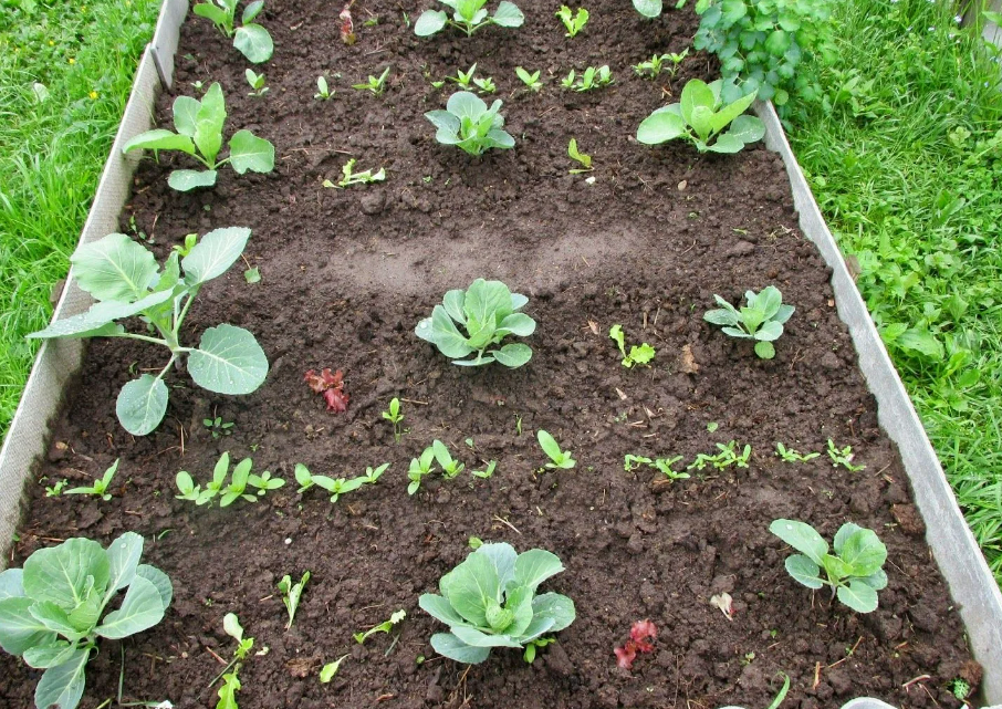 Фотография взята из источника 2sotki.ru 