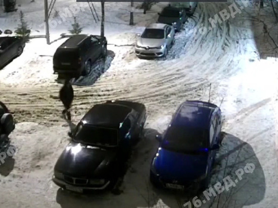     фото скрин с видео мвд.рф