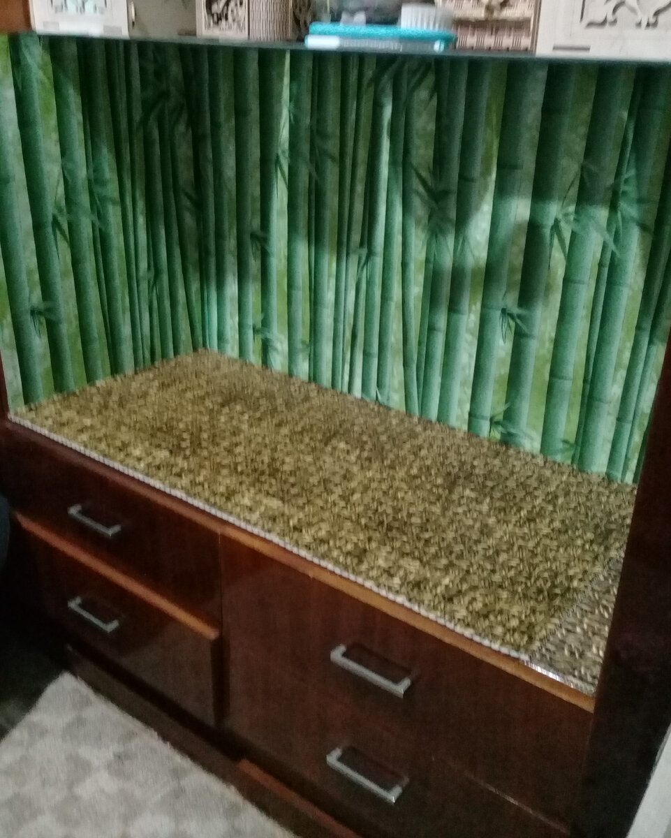 Наш зеленый уголок