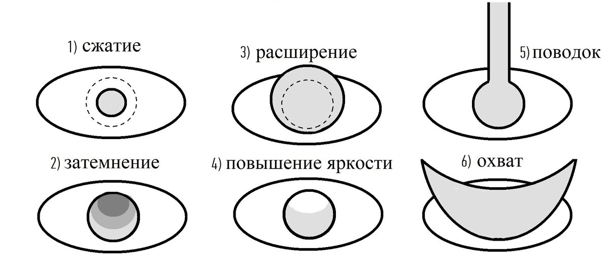 Основные варианты возможных реакций белого круга.