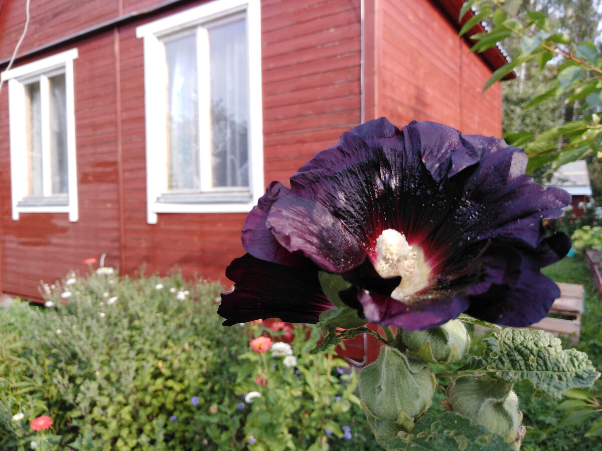 Дом, который мы построили в октябре 2017 (за 12 дней)