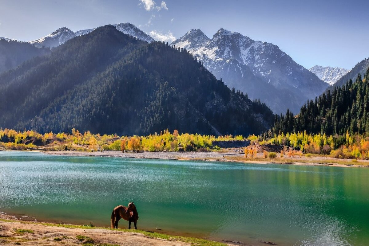 Казахстан. Фото из Яндекс картинки