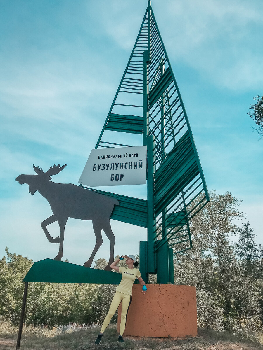 Стела на въезде в Бузулукский бор.