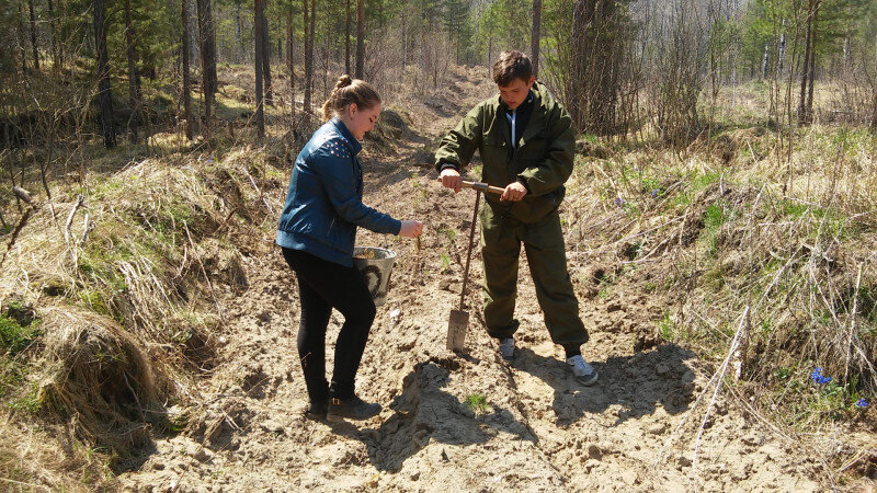     Уборка мусора в Ленточном бору Екатерина Скорых