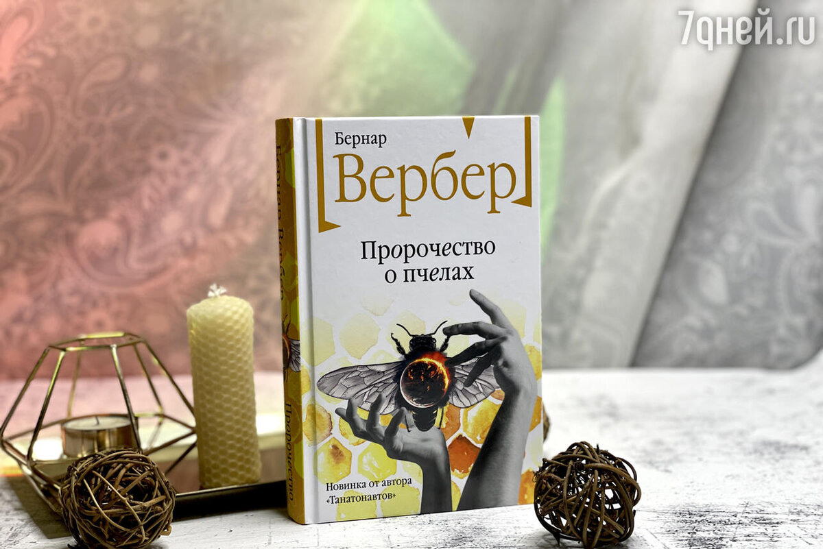 манга филиал роза пророчество о терновом венце фото 14