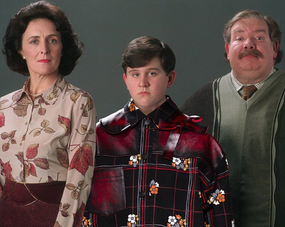 Семейство Дурслей