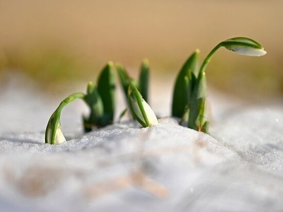     Фото: freepik.com