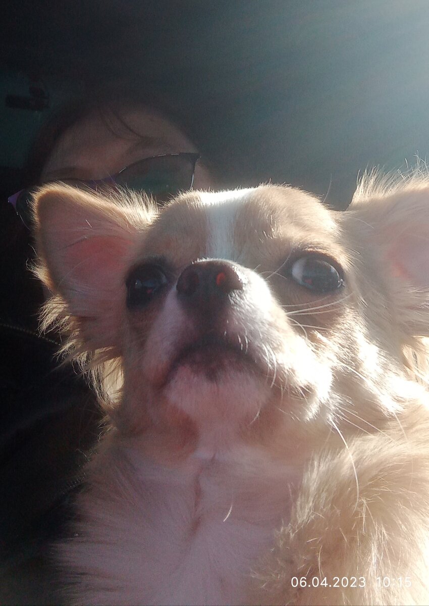 Ждём с Ноем в машине.