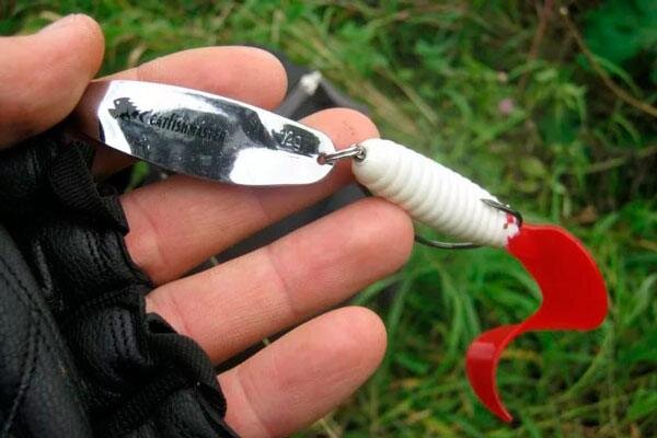 Приманки бывают различными.