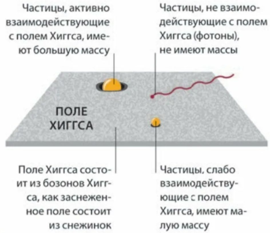 Масса поля. Поле Хиггса. Поле Хиггса простыми словами. Частица Хиггса. Поле Хиггса и Бозон Хиггса.