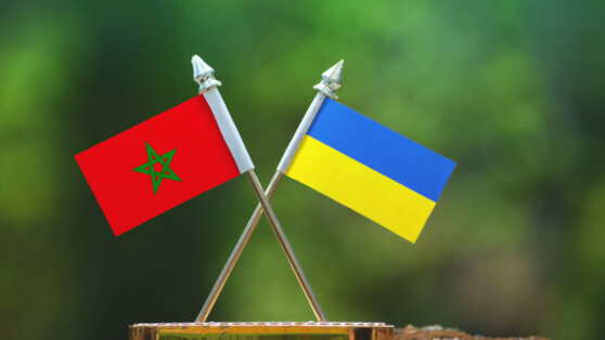    В Марокко заявили, что занимают нейтральную позицию относительно конфликта на Украине Дарья Смирнова