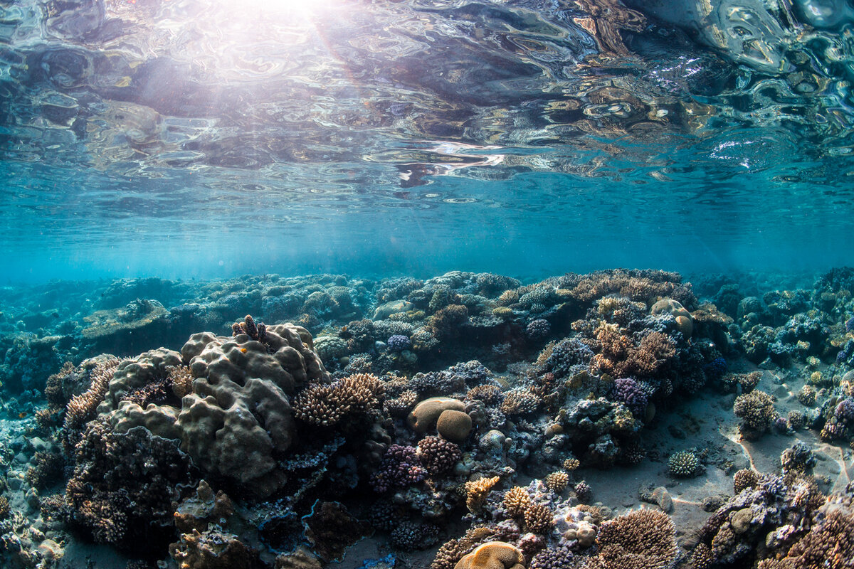 Красное море pixabay.com