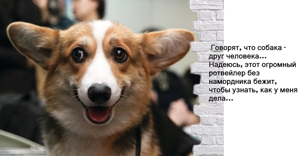 Я не кусаюсь