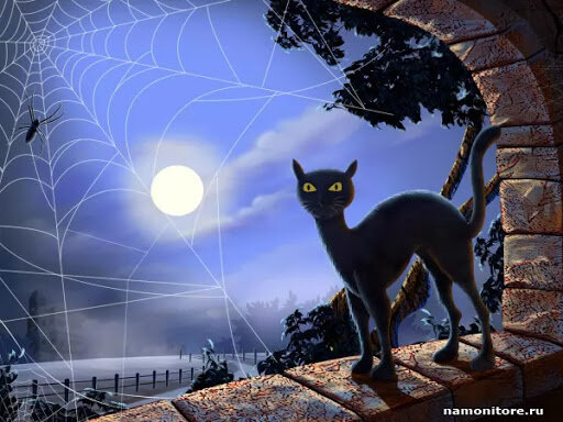 Фото из открытых источников.