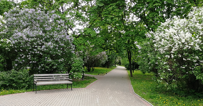 Сиреневый бульвар москва фото