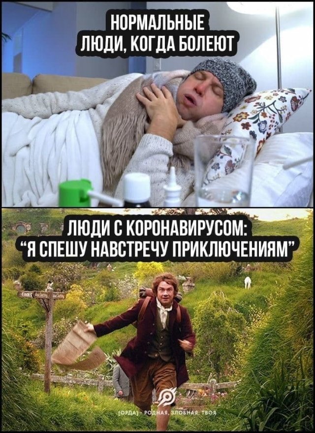 Приключения, приключения...