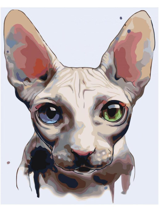 3. Лыс и самовлюблён.