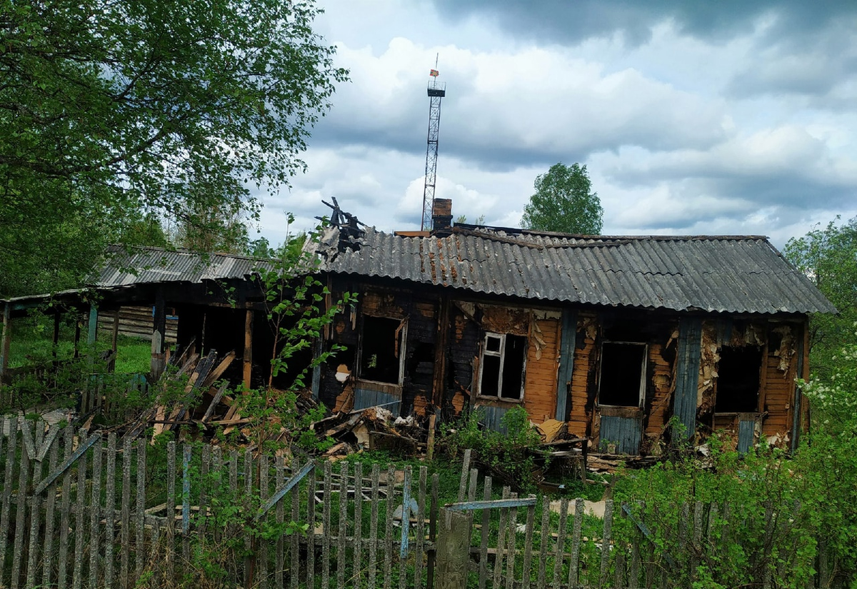 Кривцы карелия пудожский. Кривцы Карелия. Карельского поселка Кривцы. Деревня Кривец. Водла дом