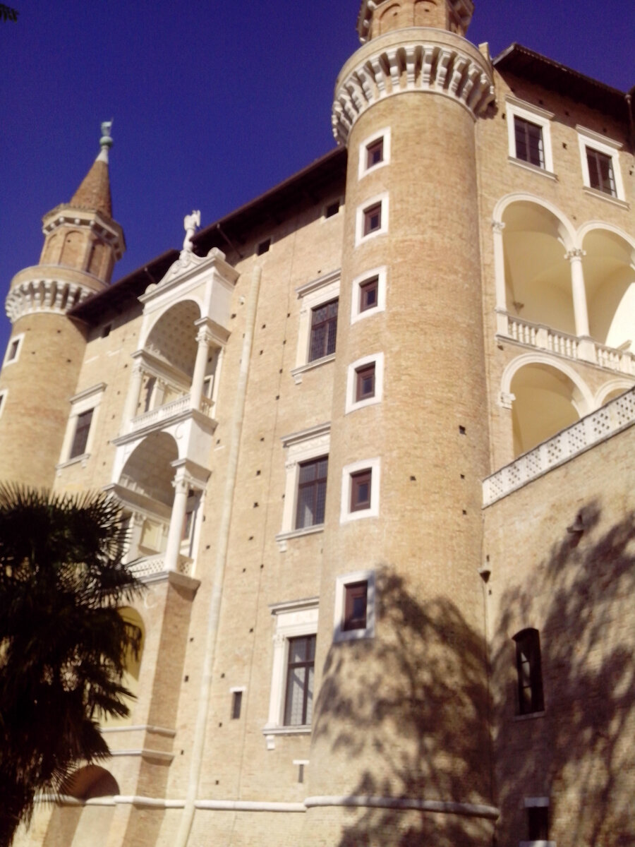 Герцогский дворец Урбино. Фото автора