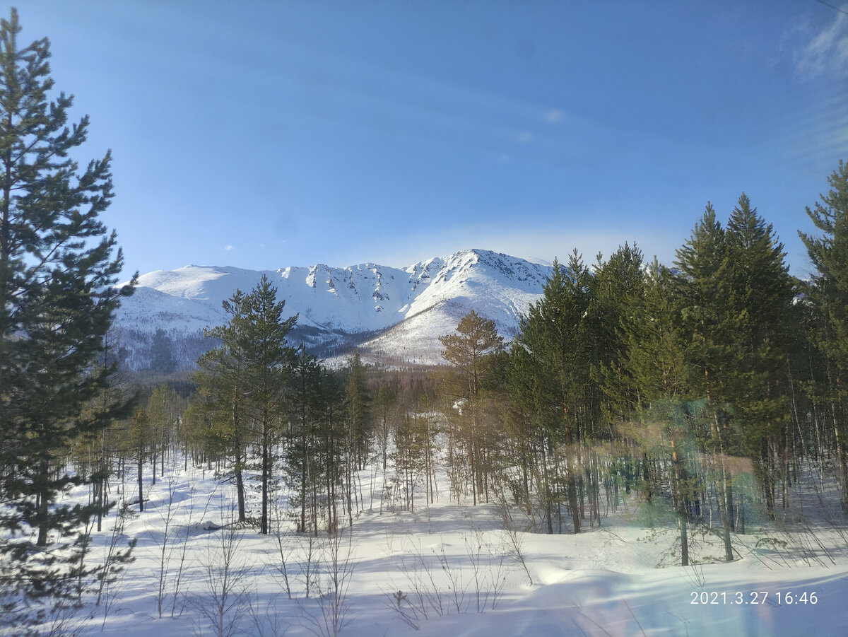 Красота