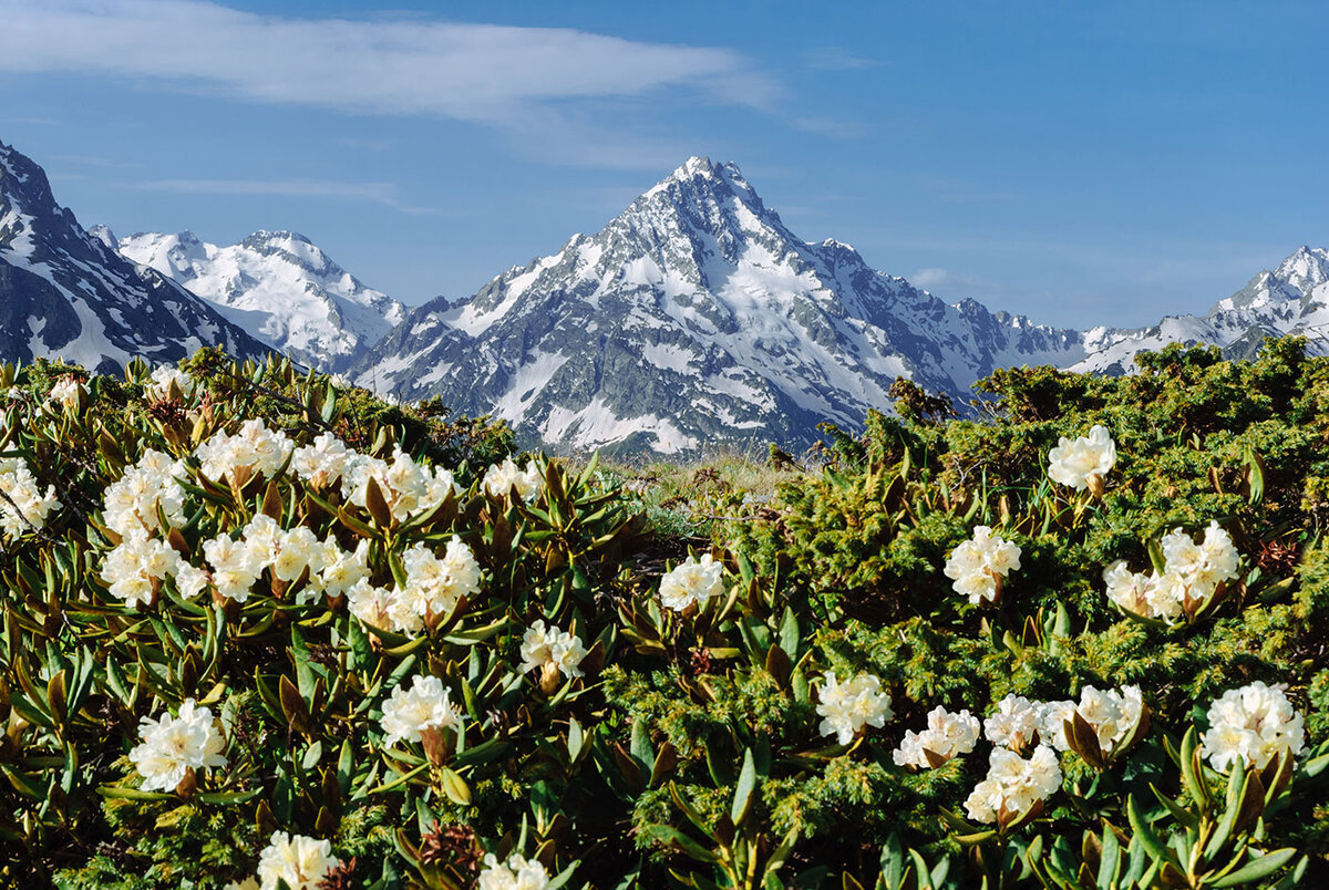 фото из интернет-источника  