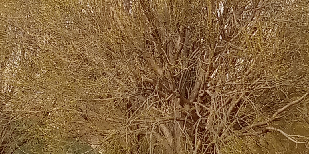 Моя взгляд на мир!!!