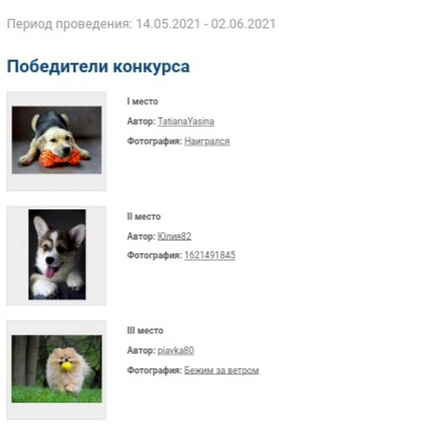 Итоги конкурса "Фотопортрет собаки". Скриншот экрана из личного ахива