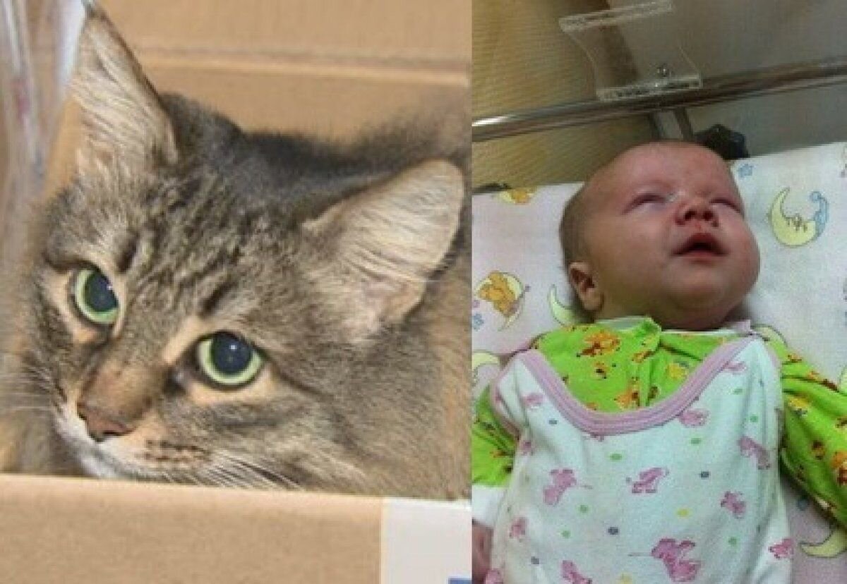 Из открытых источников. 