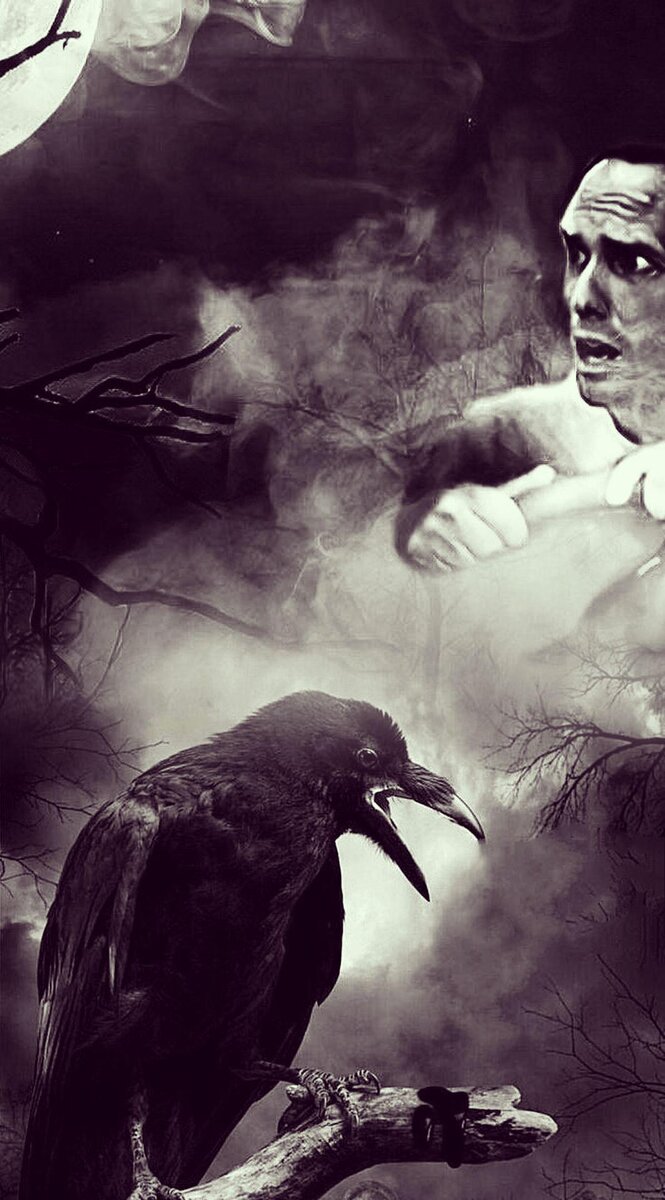 Фотоколлаж автора статьи