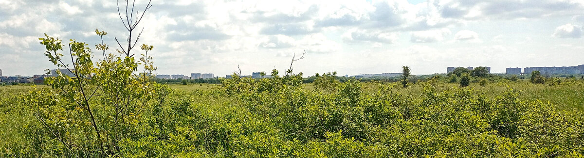 Панорама.
