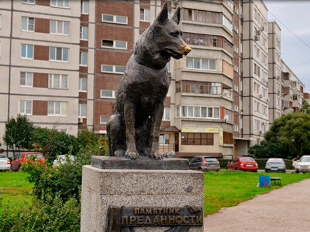 Памятник Преданности, г.Тольятти,  фото из открытых источников