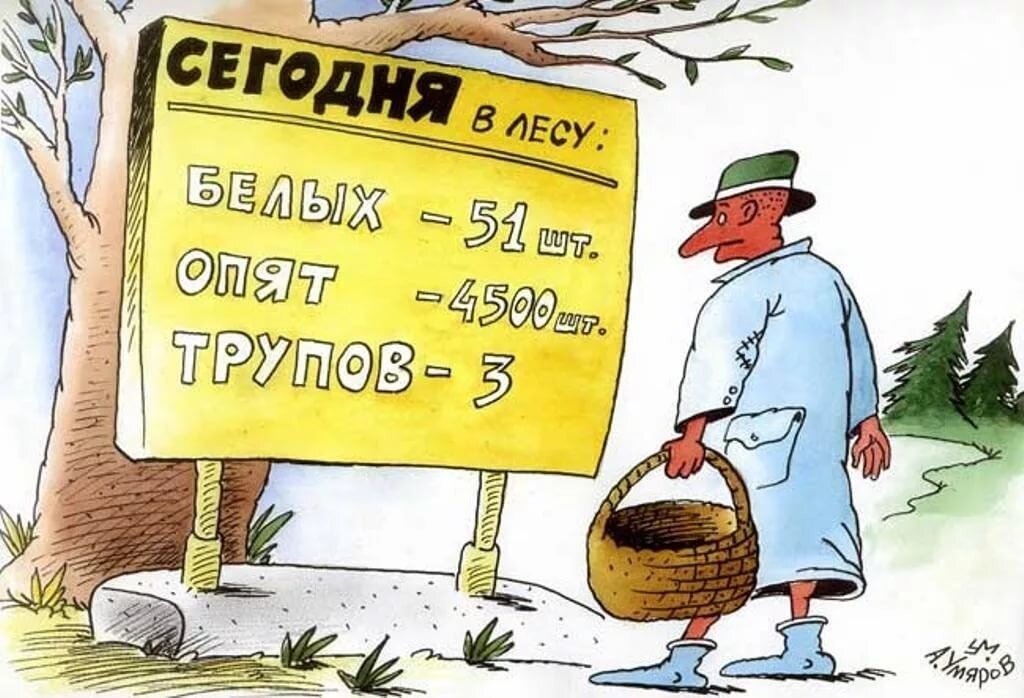 Всем привет. Это уже 5 часть анекдотов про грибников и пришло время добавить анекдоты от читателей. Если вы хотите что бы ваш анекдот попал в следующую подборку то пишите его в комментариях.-2