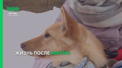 Жизнь после аварии