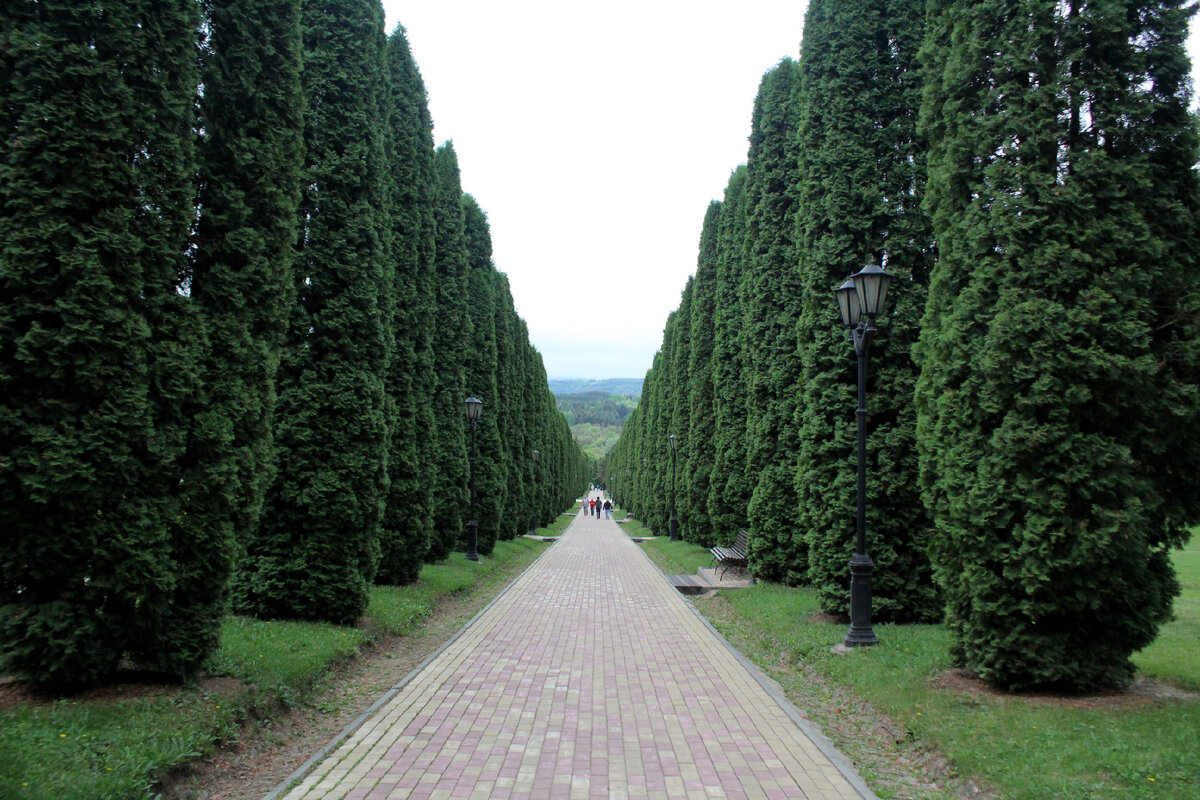 Май 2021 год. Город Кисловодск. Фото автора. Листайте карусель