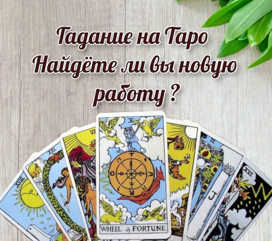 Как карты таро могут помочь в поисках работы? | Развлечения | WB Guru