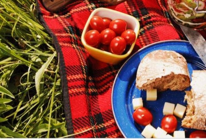 Фото из открытого доступа. Пикник на природе.