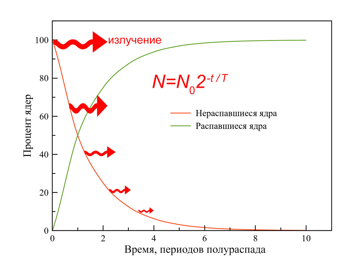 Закон радиоактивного распада и его график. Вещество распадается по степенному закону, через время, равное периоду полураспада, остается половина исходного количества ядер.