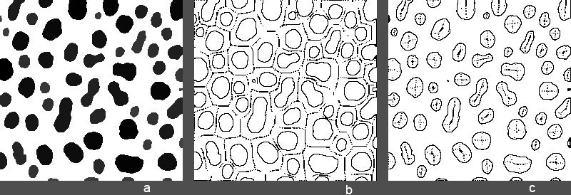 Fig. 1. a — входное изображение с представлением фона как области эквивалентности;   b — треки МРП-точек (скелетоны) между blobs-ами, обозначенными контурами;
c — для полноты картины показано и МРП-преобразование самих blobs-ов
