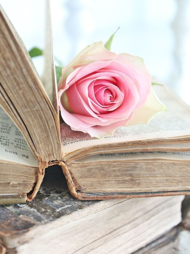 Пока есть книги,нам не может быть скучно!