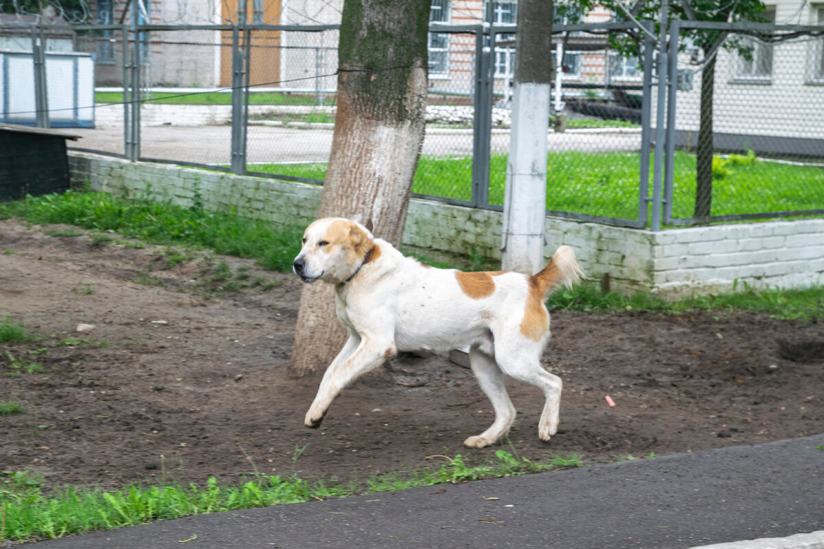 На охране военной части, фото автора