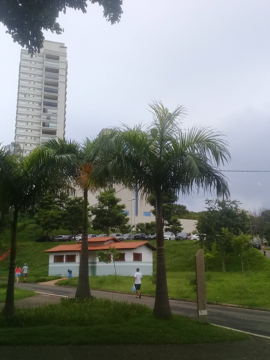 Бразилия. Фото автора.