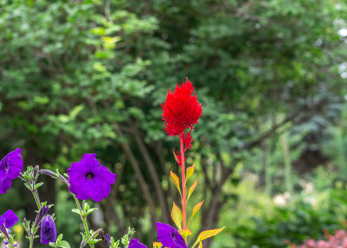 Все фото из семейного архива