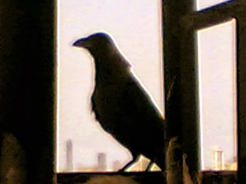 фото с просторов интернета