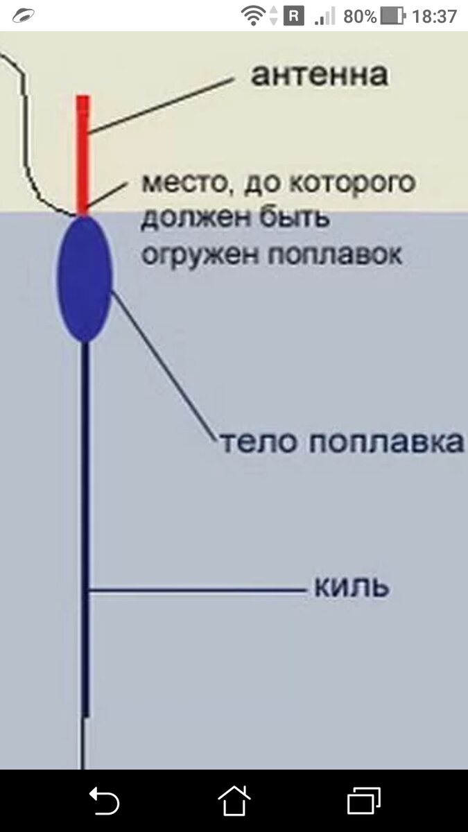 фото Оснастка для ловли леща на поплавочную удочку