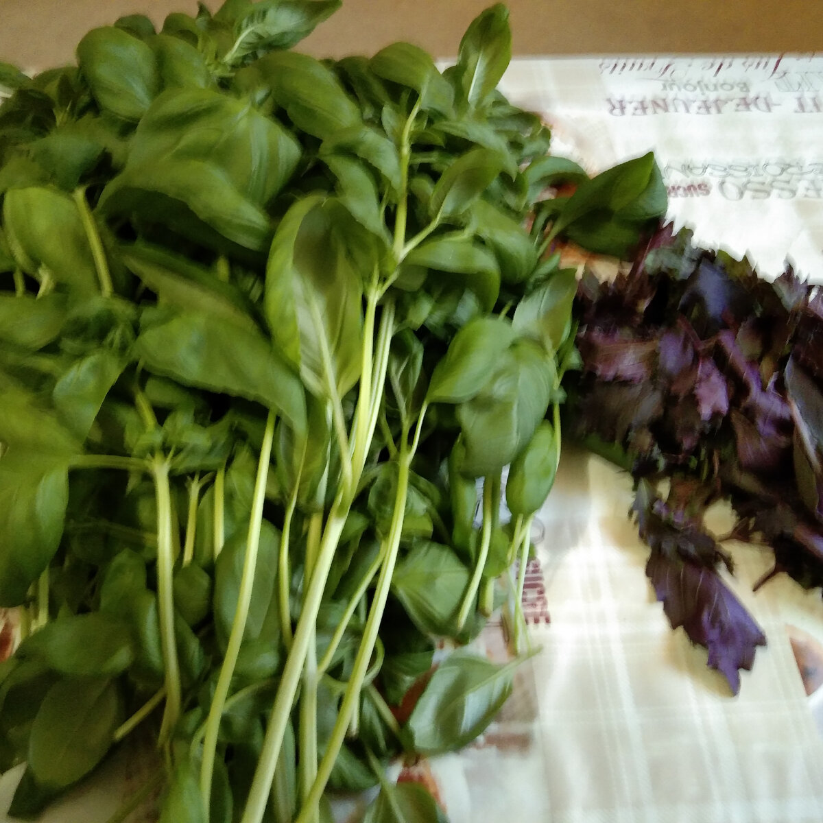 Отделила листья от стебельков.