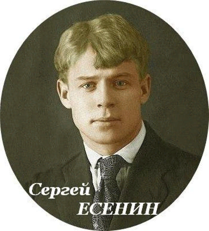 Фото из интернета в свободном доступе.