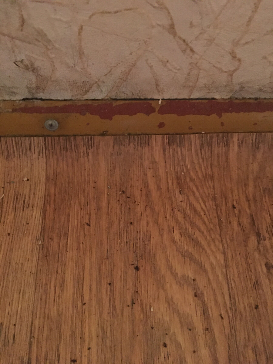 Плинтуса старые оттуда и попёрли!