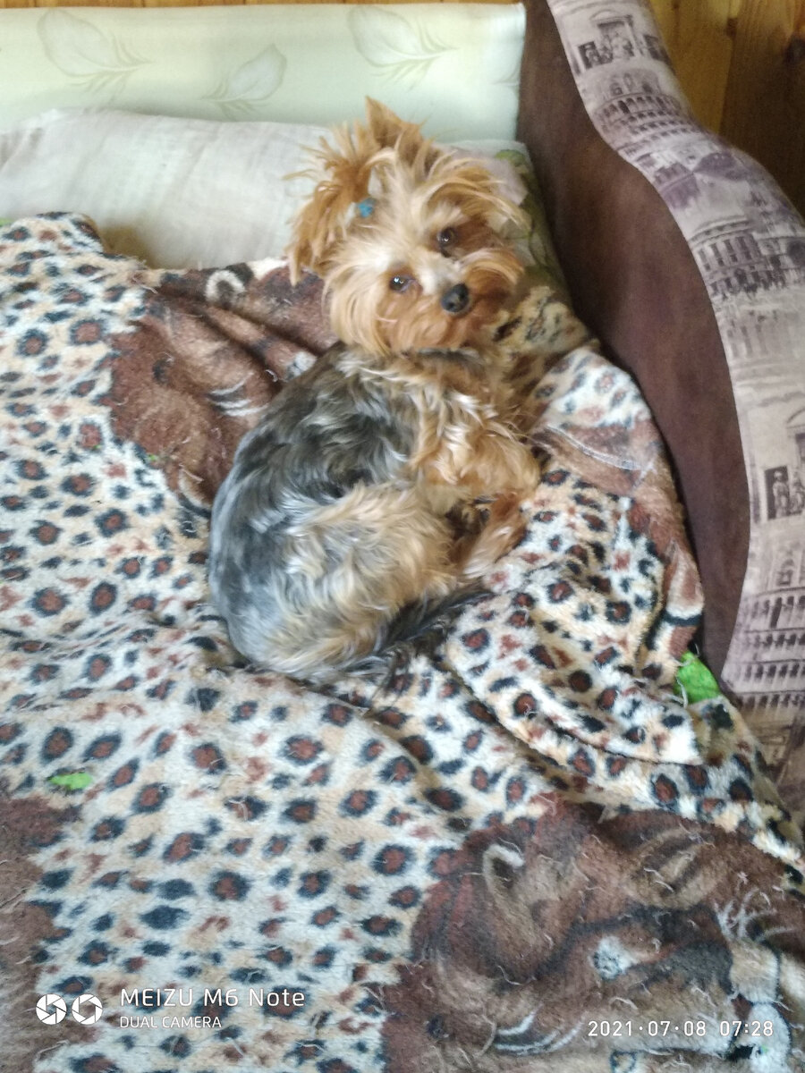 Ну и что,что я ленюсь,ничего я не боюсь...