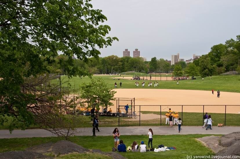 Нью-Йорк, Центральный парк